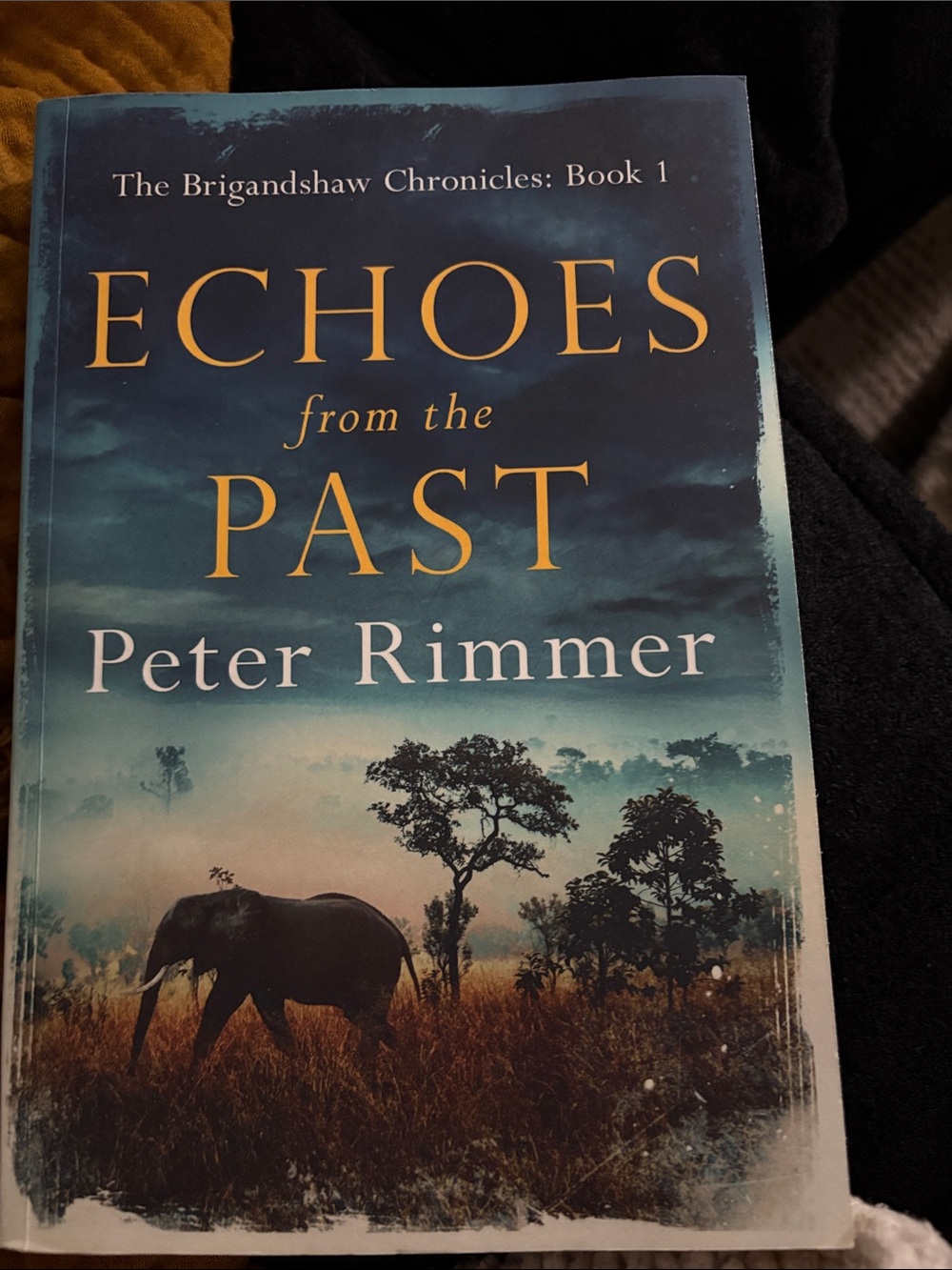 Echoes from the Past by Peter Rimmer - Blue and Gold Cover